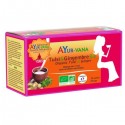 INFUSION TULSI et Gingembre Bio - 25 infusettes - anti-inflammatoire Ayur-Vana- AyurVana