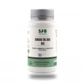 GINKGO BILOBA bio - 30gél. Anxiété et soutien général - Sfb