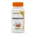 HARPAGOPHYTUM 120   MGD Nature