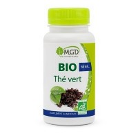 Thé vert bio est indiqué dans le contrôle du poids.  Actif Thé vert bio 