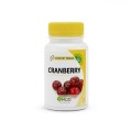CRANBERRY 60   MGD Nature