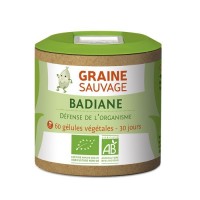 Badiane Bio - Graine Sauvage