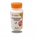 GELÉE ROYALE + POLLEN 120   MGD Nature