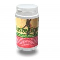JUSTELIGNE Jade Recherche 
