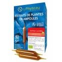 JAMBES LOURDES complexe  OxyPhyteau