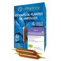 ORTIE Bio - OxyPhyteau  Boîte de 40 amp.
