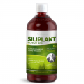 Siliplant 1000 ml  Silicium G7  Silicium Espana