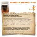 Boswellia Serrata - irelia