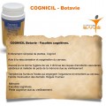 COGNICIL Mémoire et facultés cognitives - 90gélules Botavie