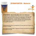 DYNAFORTIS - Botavie