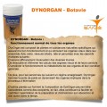 DYNORGAN 90 - Botavie