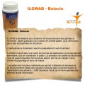 Ilowab - Botavie