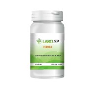 FERRILO - 60 gél hyperferritinémie Traitement - laboSP