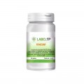 FEMICONF -  LaboSP