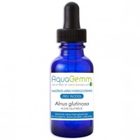 AULNE GLUTINEUX aquagemm, macérât de bourgeon