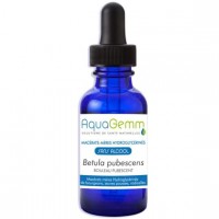 BOULEAU PUBESCENT aquagemm, macérât de bourgeon