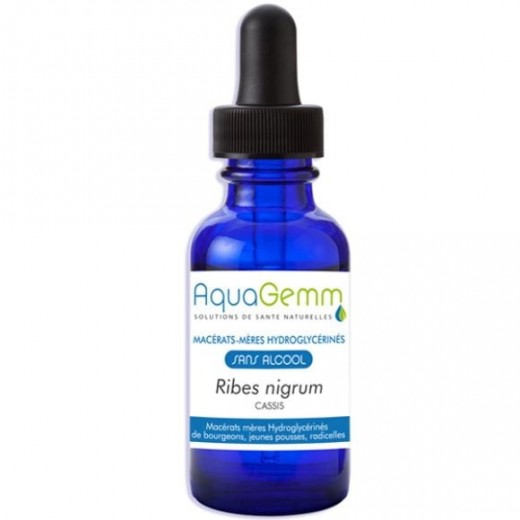 CASSIS AQUAGEMM - Anti-inflammatoire et Articulations - Biogemm