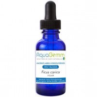 FIGUIER aquagemm, macérât de bourgeon