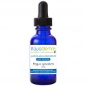  HÊTRE aquagemm Macérât de bourgeons Biogemm