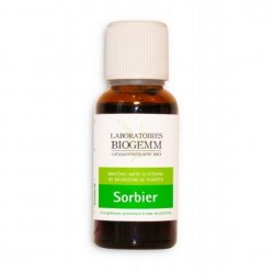 SORBIER Bio - Circulation Veineuse et hémorroïdes - Biogemm