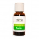 SORBIER Bio - Circulation Veineuse et hémorroïdes - Biogemm