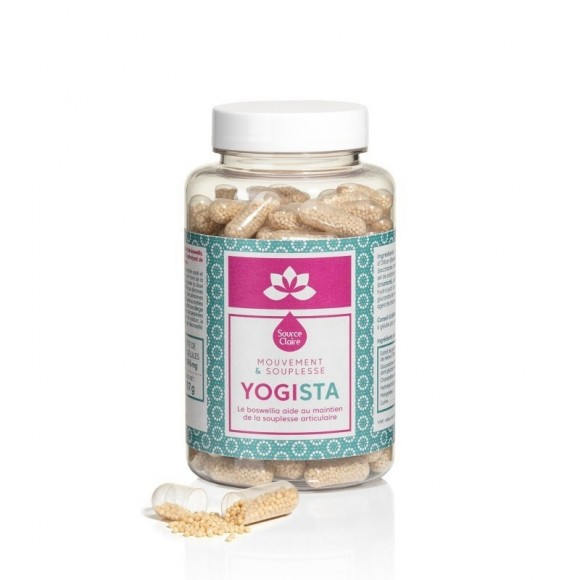 YOGISTA - Mouvement et souplesse - Source Claire - Michel Dogna