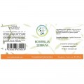 Boswellia Serrata 70% Acide Boswellic - inflammation - Planticina