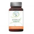 Boswellia Serrata 70% Acide Boswellic - inflammation - Planticina