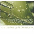 Collagène Végétarien Optimisé Peau, Articulations, Therapinov NATetLAB