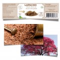 LAPACHO - anti-batérien et immunité 180 gél.- Baobab
