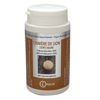 CRINIÈRE DE LION (Hericium Erinaceus) - Digestion et dépression - Irelia
