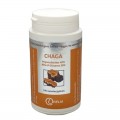 CHAGA - Anti-tumoral - Irelia