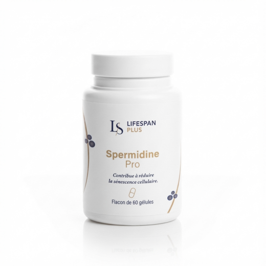 SPERMIDINE PRO Autophagie & Régénération Cellulaire - Lifespan+