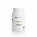SPERMIDINE PRO Autophagie & Régénération Cellulaire - Lifespan+