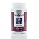 CISTUS CRETICUS - Défenses Naturelles Antiviral - 100 Gél. - IRELIA
