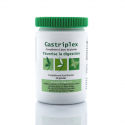 GASTRIPLEX confort digestif - estomac - Effiplex Dr. Schmitz