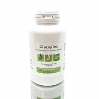 GLUCOPLEX- Articulations - Arthrose - Effiplex Dr. Schmitz