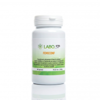 FEMICONF - LaboSP