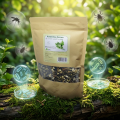 Artemisia Annua 100g - Tisane & Décoction - Baobab