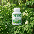 Moringa 120 gél - énergie vitalité, fonctions cognitives. LT Labo
