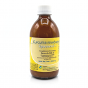 CURCUMA RESVERATROL système gastrique articulaire  Perfect Health Solutions