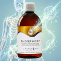 PHOSPHORE - solidité des os et dents - Catalyons