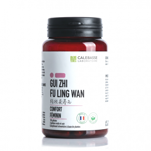 Gui zhi fu ling wan - kystes,fibromes, endomètre - Calebasse