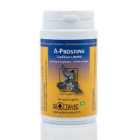 A-Prostine adénome de la prostate volume de la prostate taux de PSA miction nocturne -Botavie