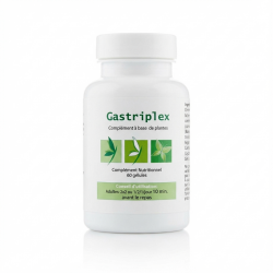 GASTRIPLEX - 60 gél. - Confort Estomac - Effiplex Dr Schmitz