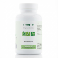 GLUCOPLEX S - 250 Articulations - Arthrose - Effiplex Dr. Schmitz