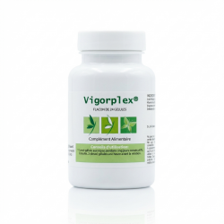 VIGORPLEX 24 gélules - Vitalité Masculine - Effiplex Dr. Schmitz