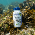 FUCUS - contrôle du poids et tyroïde  120 gel - MGD Nature