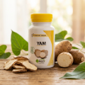 YAM -  Effet de la ménopause 90 gel . - MGD Nature