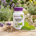 VALÉRIANE MÉLISSE endormissement 60 gel - MGD Nature